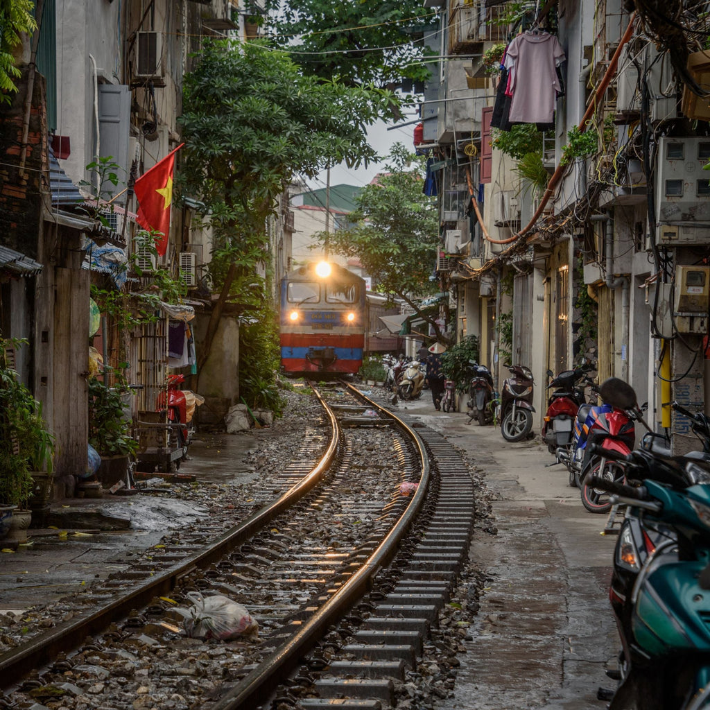 Nomad Signature Vietnam