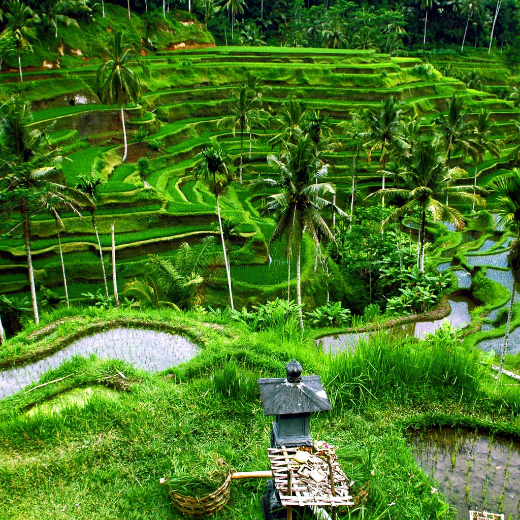 Bali Indonesia Escape – 5D4N