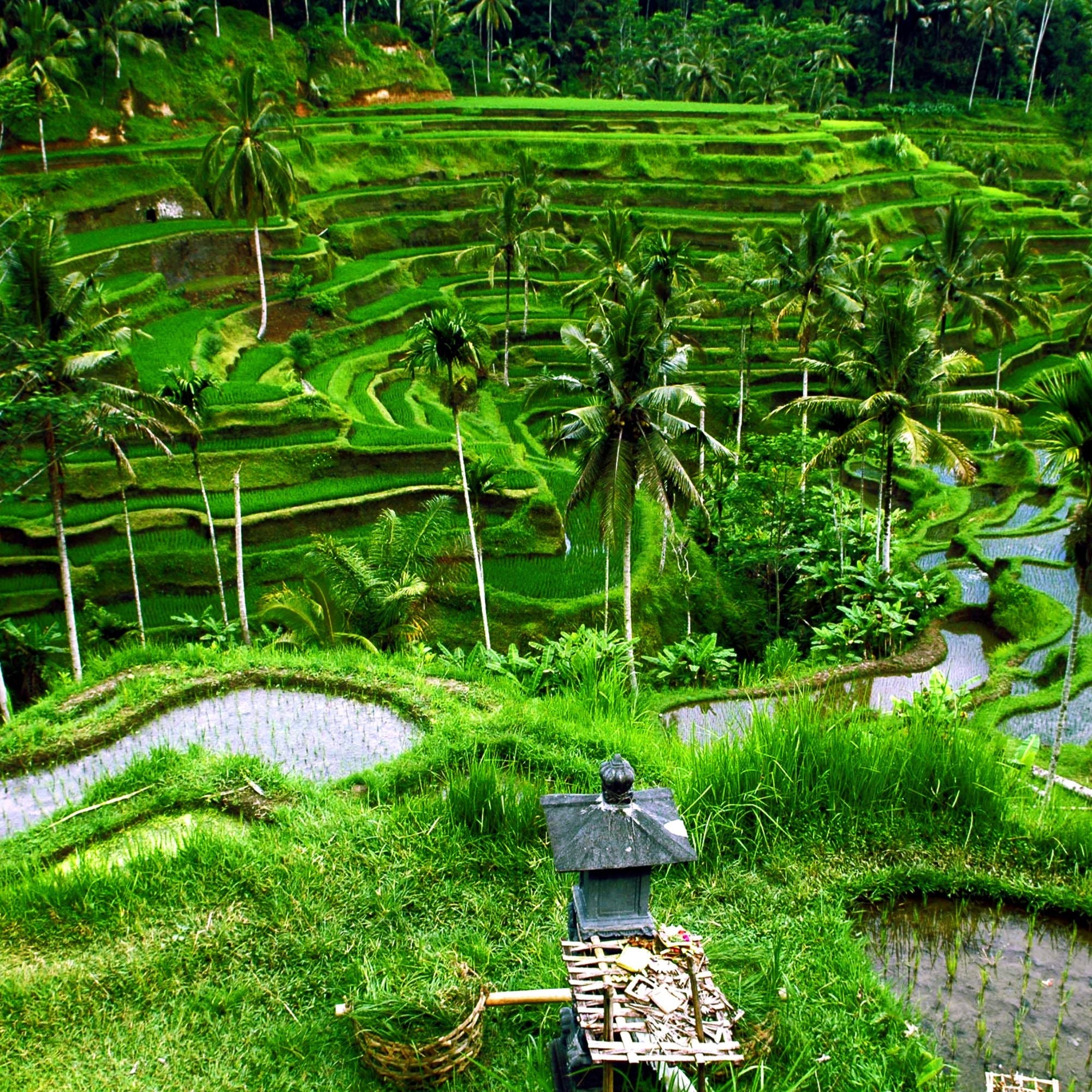 Bali Indonesia Escape – 5D4N