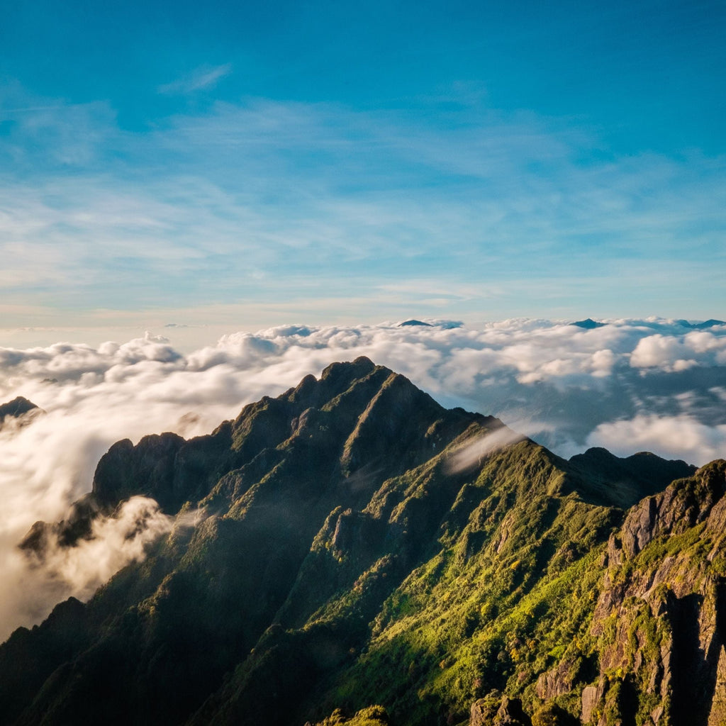 Vietnam Discovery (Hanoi & Sapa) – 4D3N