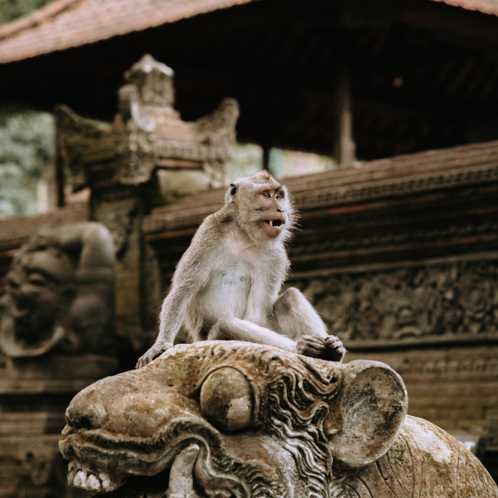 Bali Indonesia Escape – 5D4N