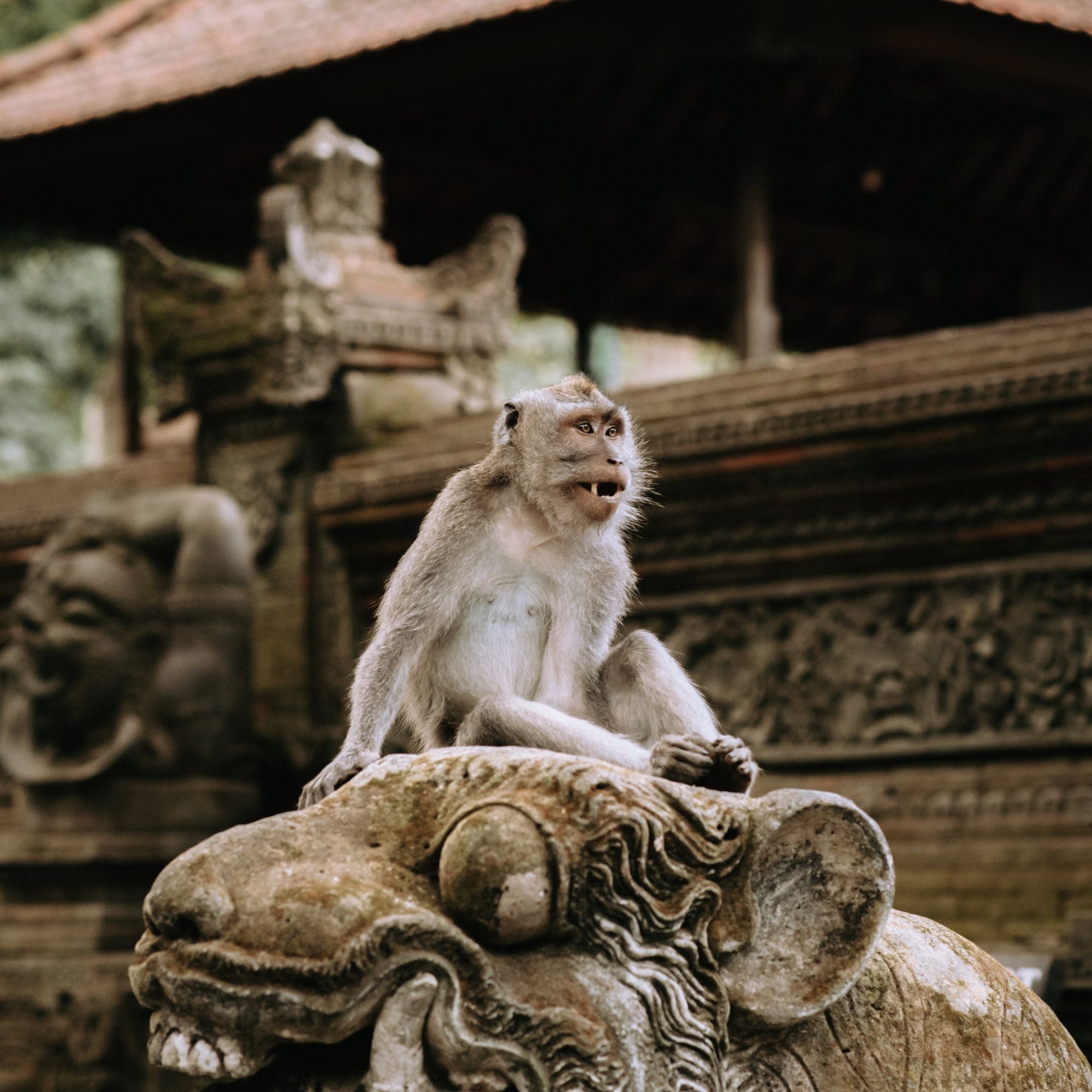 Bali Indonesia Escape – 5D4N