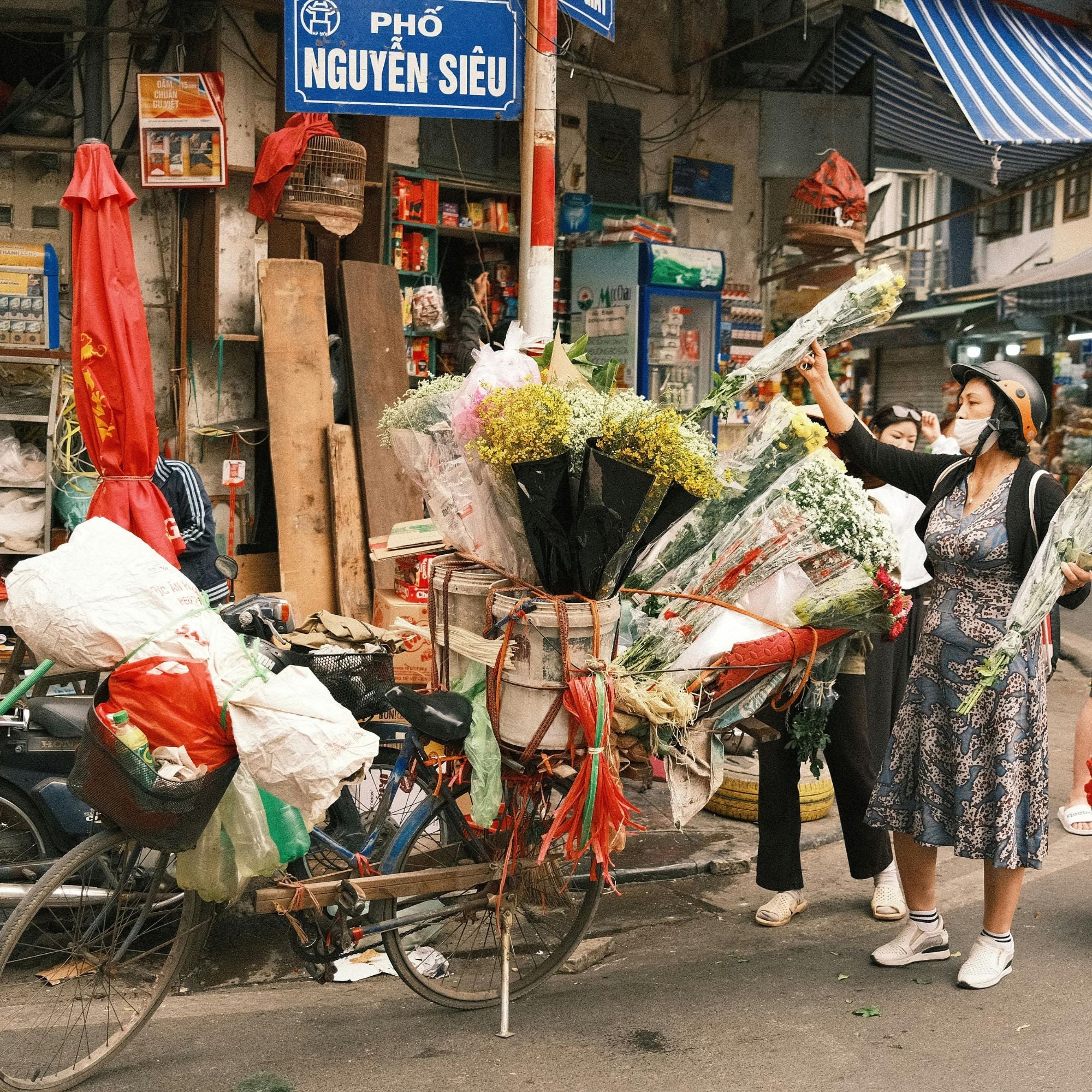 Nomad Signature Vietnam