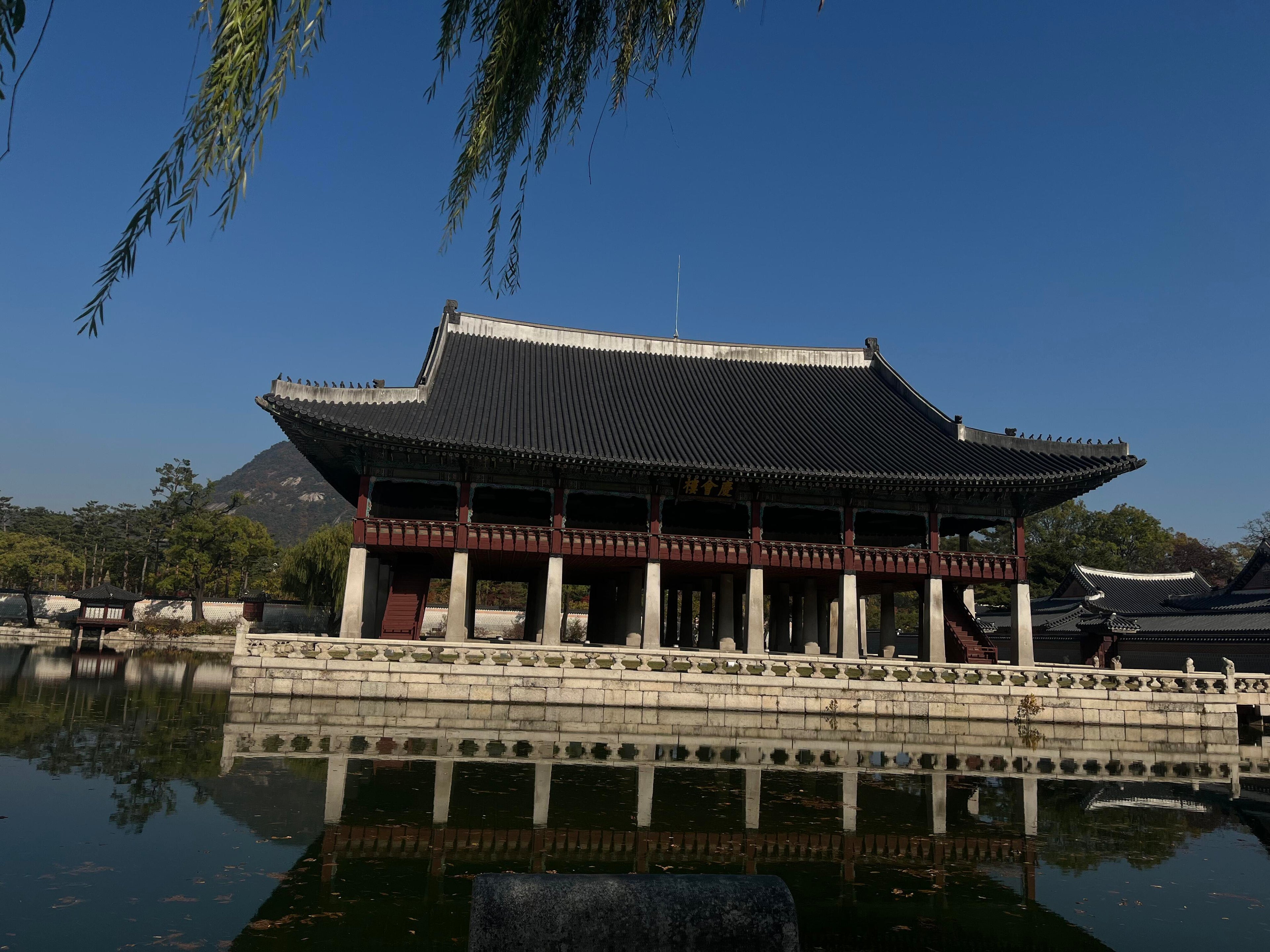 Nomad Signature South Korea