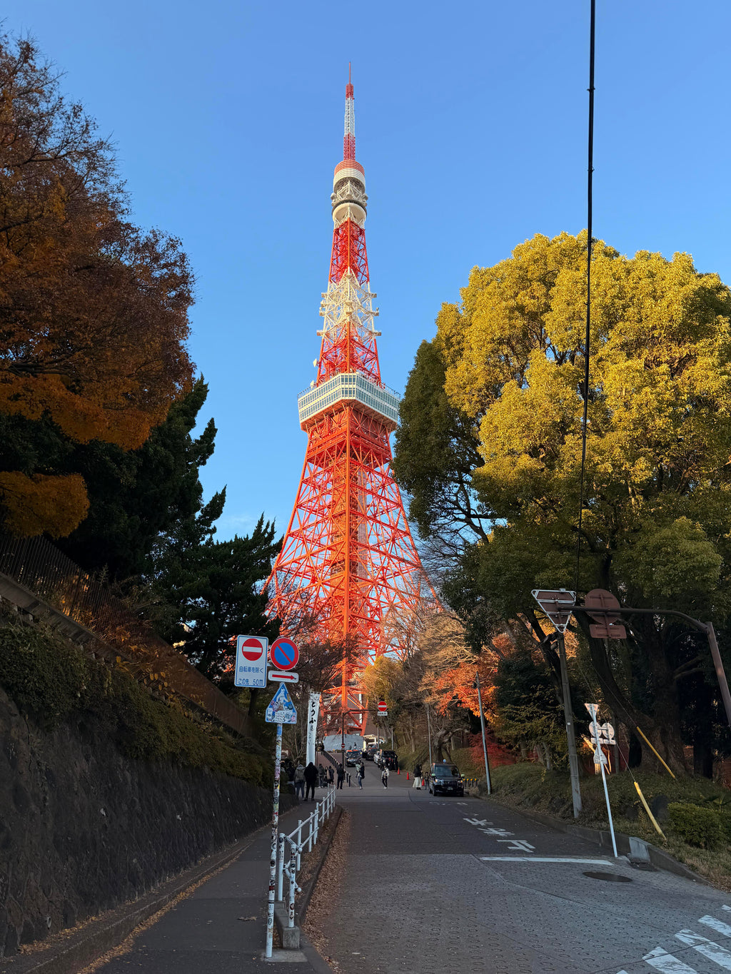 Nomad Signature Japan