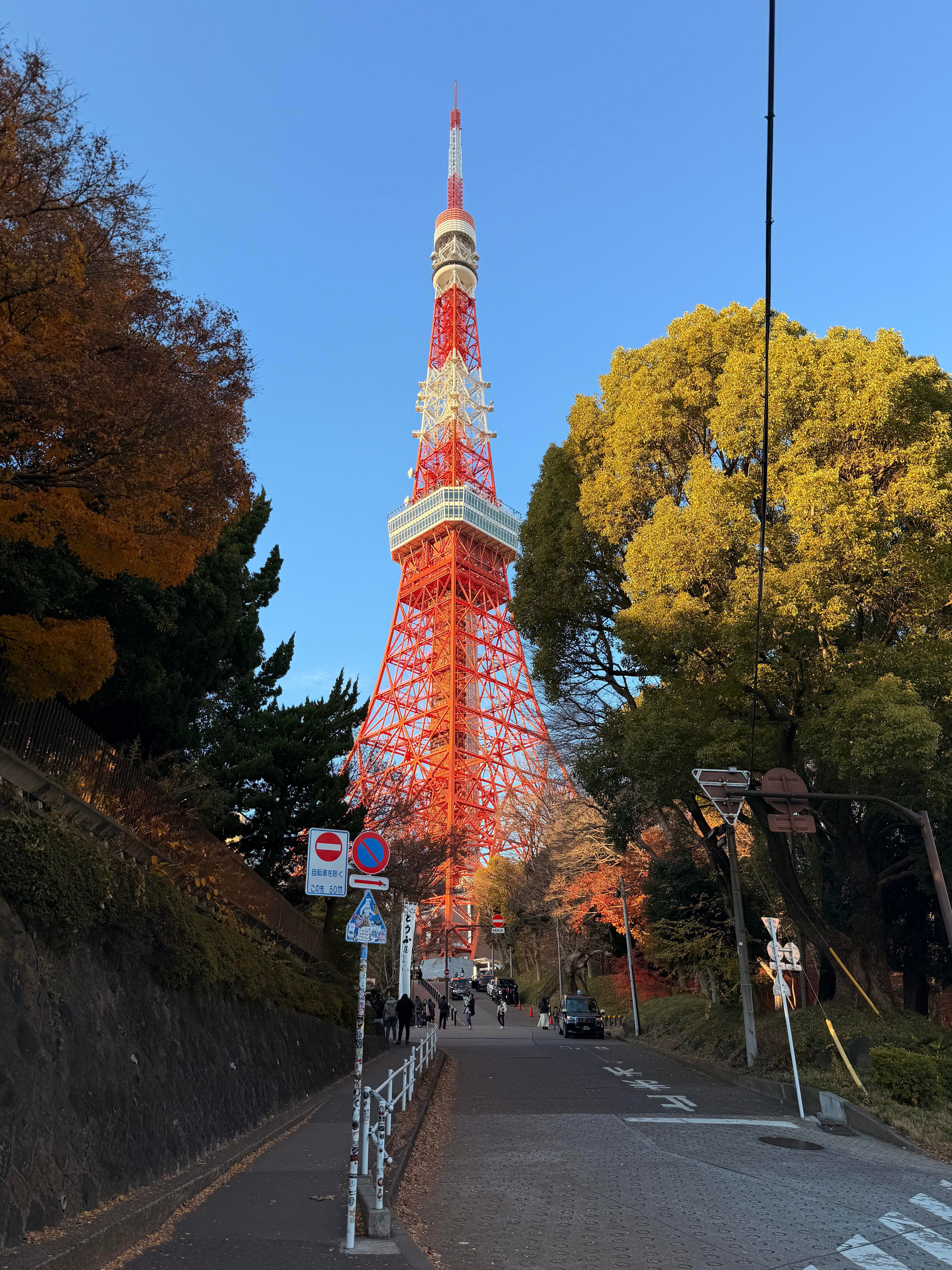 Nomad Signature Japan