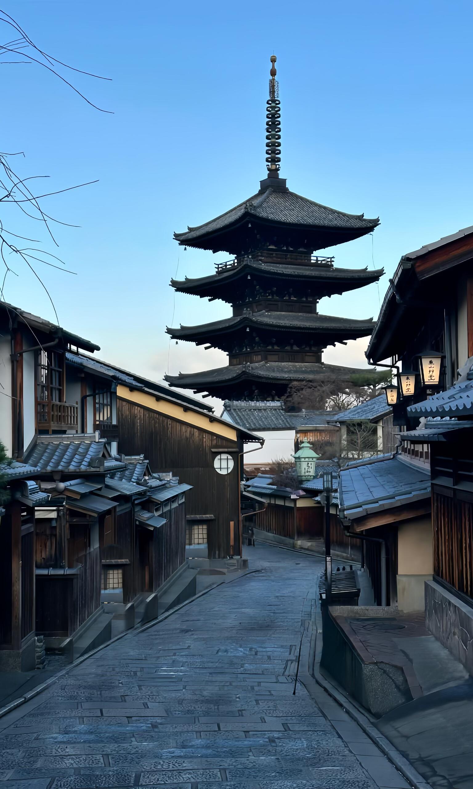 Nomad Signature Japan