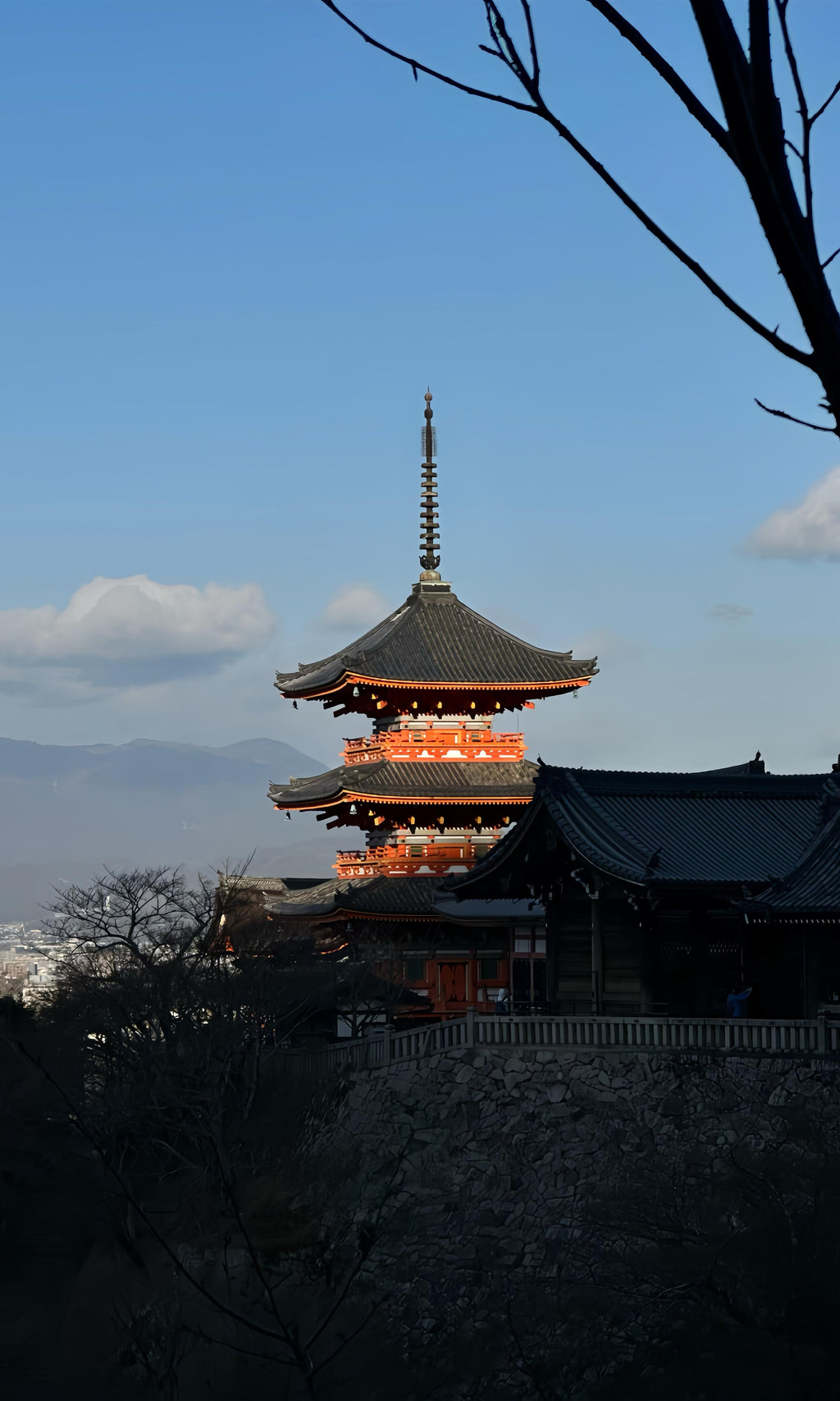 Nomad Signature Japan