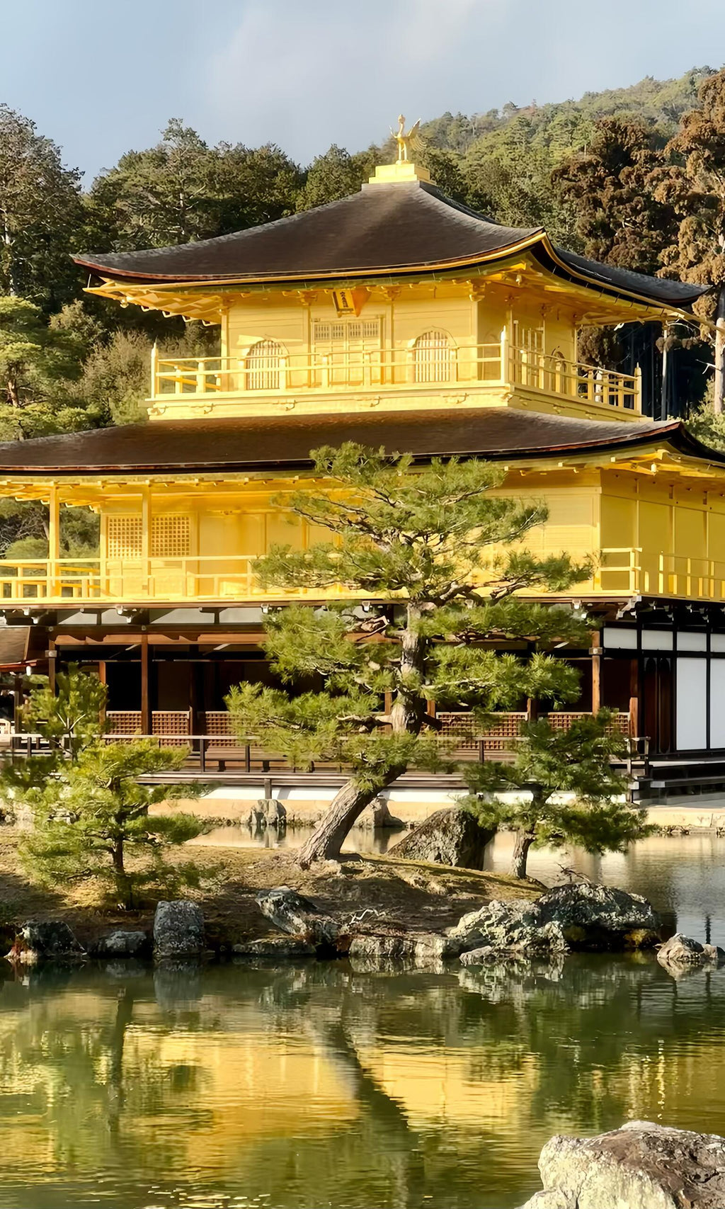 Nomad Signature Japan