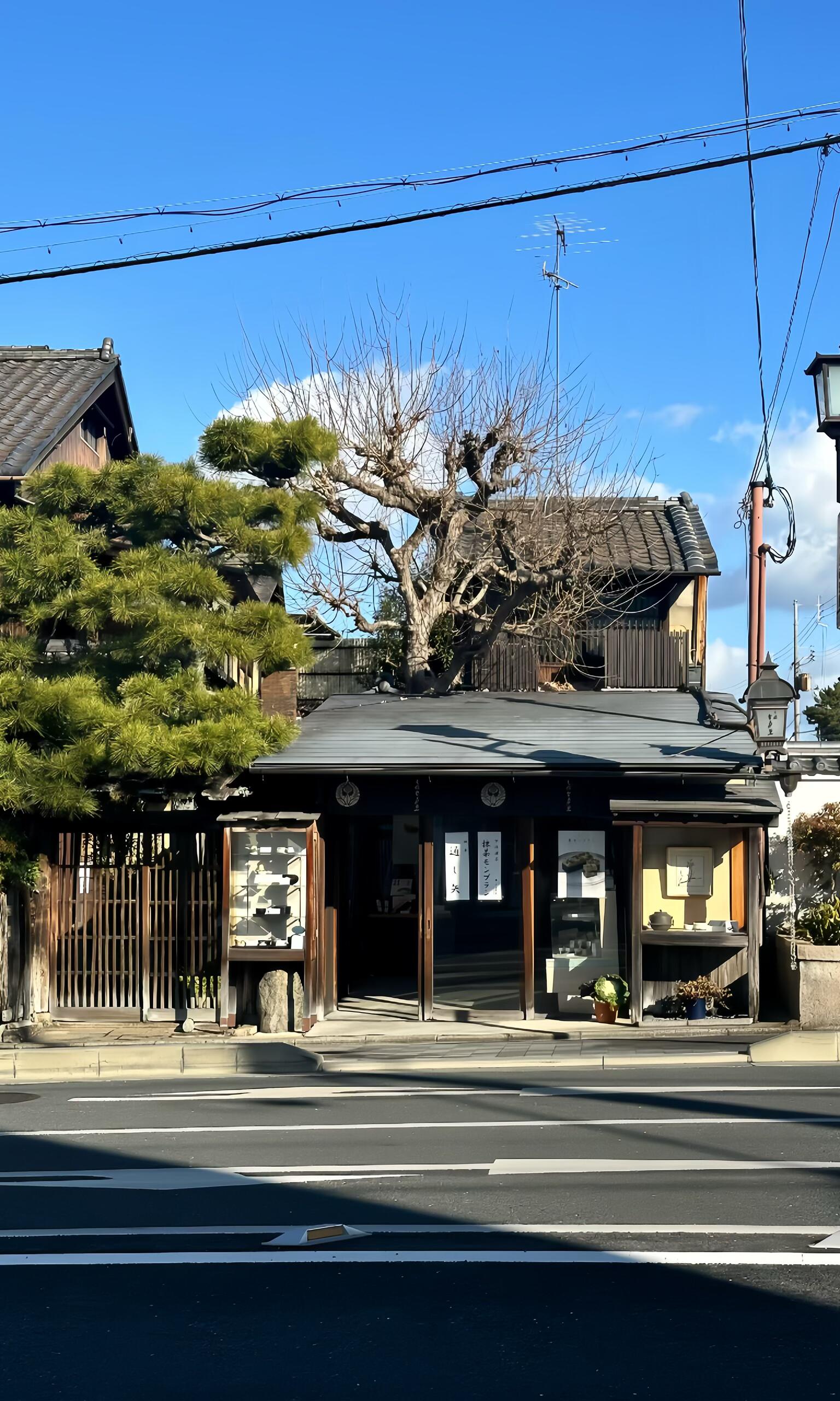 Nomad Signature Japan