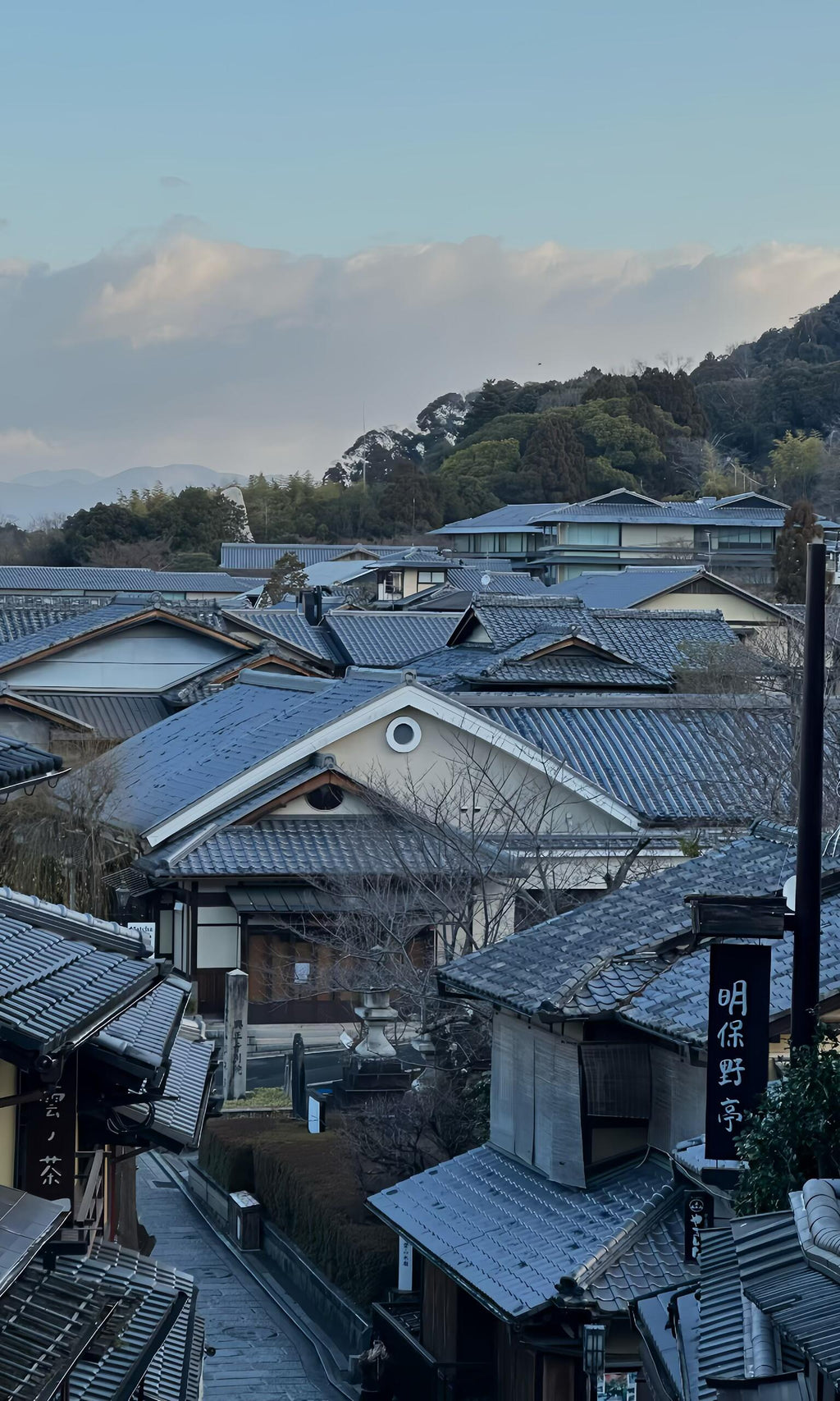 Nomad Signature Japan