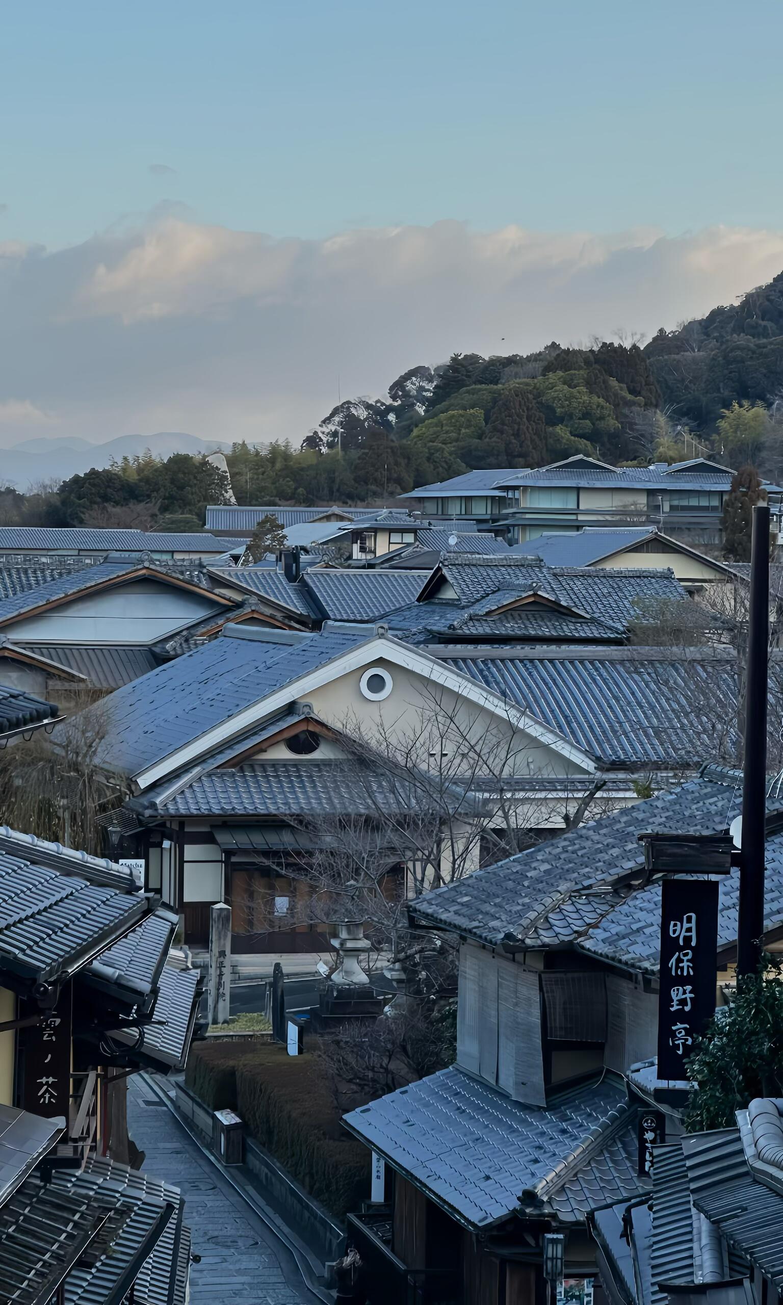 Nomad Signature Japan