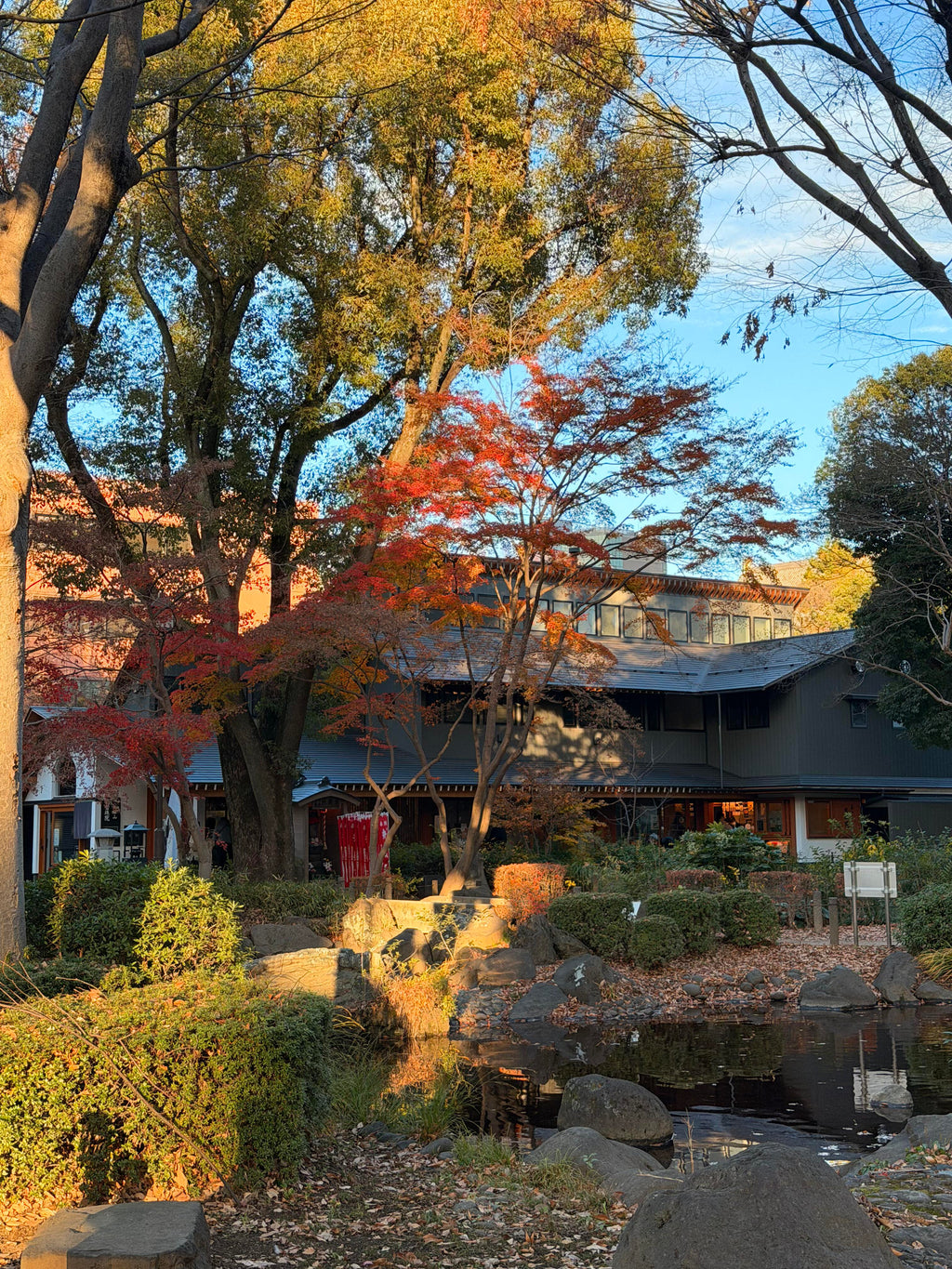 Nomad Signature Japan