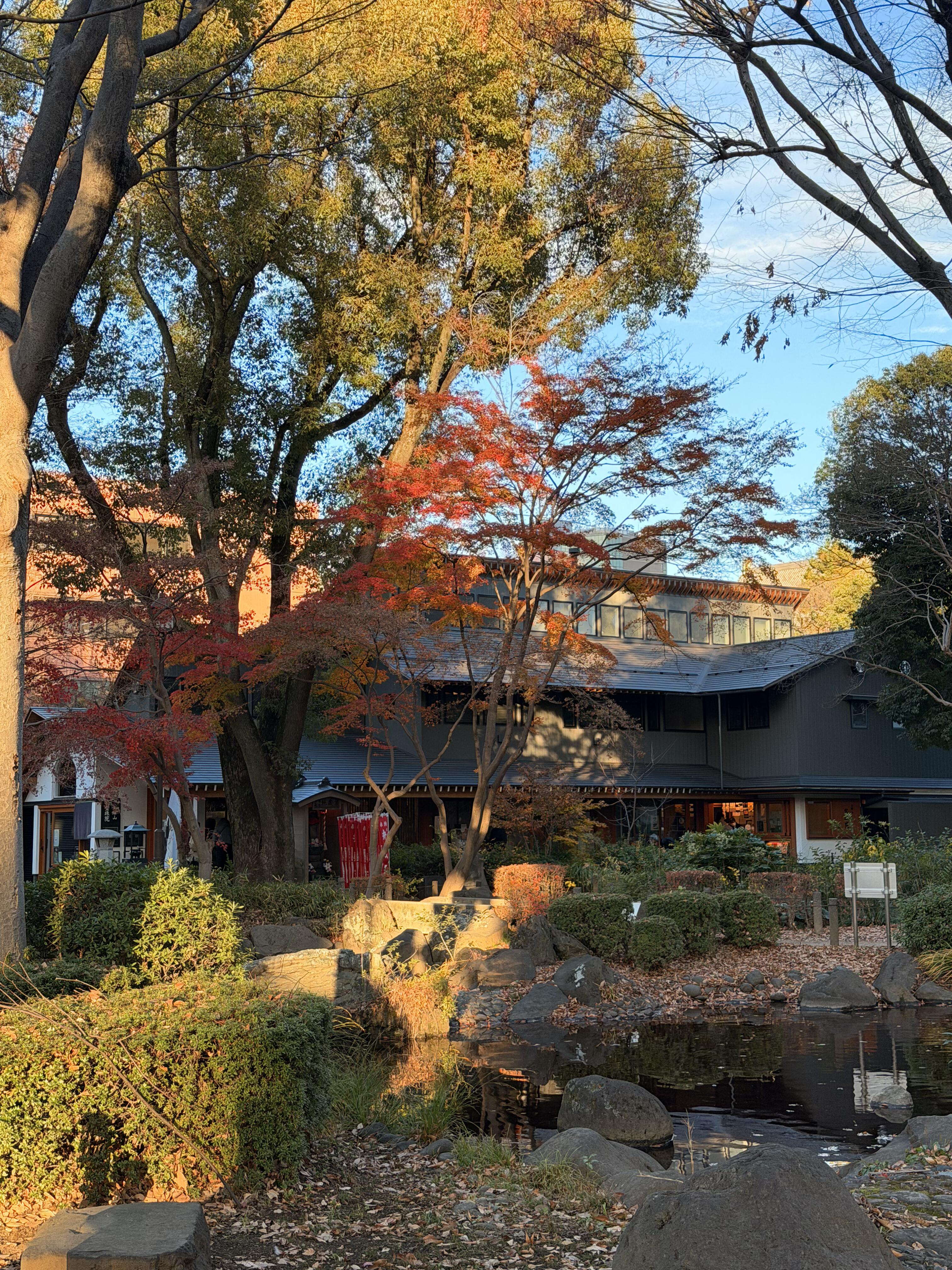 Nomad Signature Japan